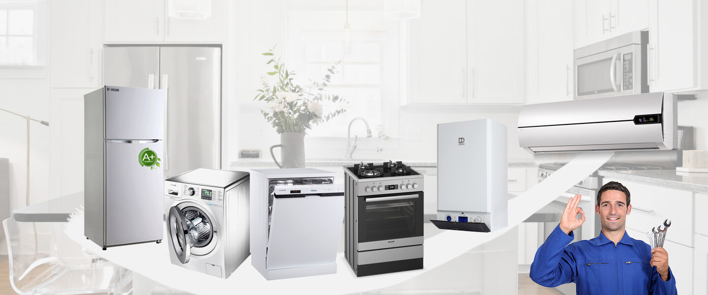 Yapraklı Warmhaus Servisi